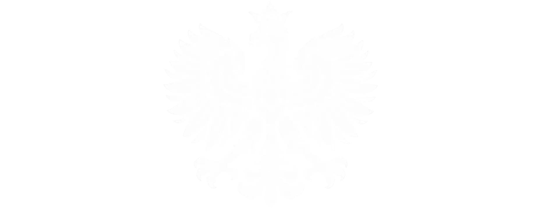 Białe logo Pacjent